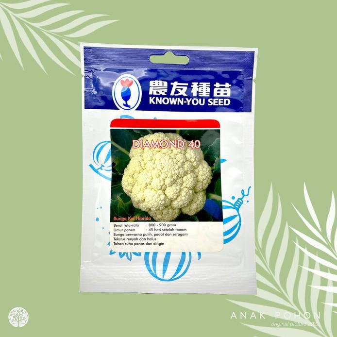 

fresh !!! (1 PACK) Benih Kembang Kol Diamond 40 Bunga Kol Seeds - Known You Seed