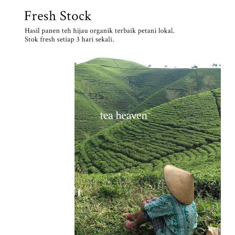 

Grosir White Tea Teh Putih Organik Premium Pure Organic Silver Needle
