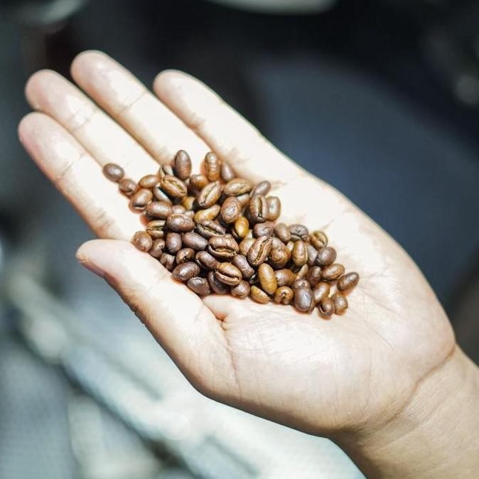 

Promo Bundling Kopi 100G Buy 1 Get 1 + Paper Filter 01 Isi 10Pcs