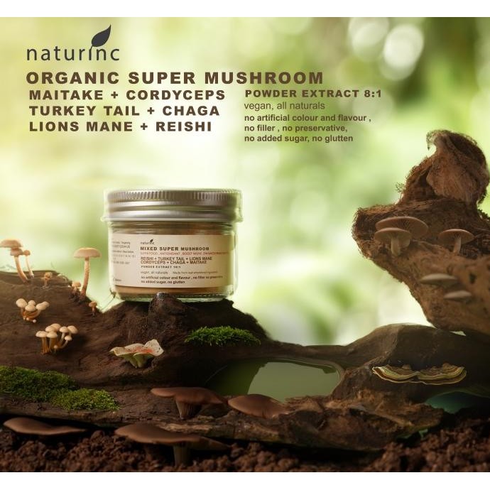 

Murah Kopi Jamur Organic Mushroom Coffee Lions Mane Turkeytail Ashwagandha Cordyceps Maitake Chaga Reishi Maitake No Sugar