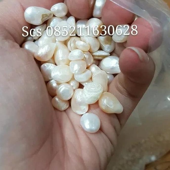 

Murah Bubuk Mutiara 500Gram / Zhen Zhu Fen / Cen Cu Fen