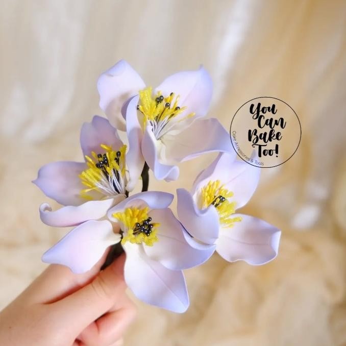 

Produk Baru!! Clematis Flower Gumpaste Set