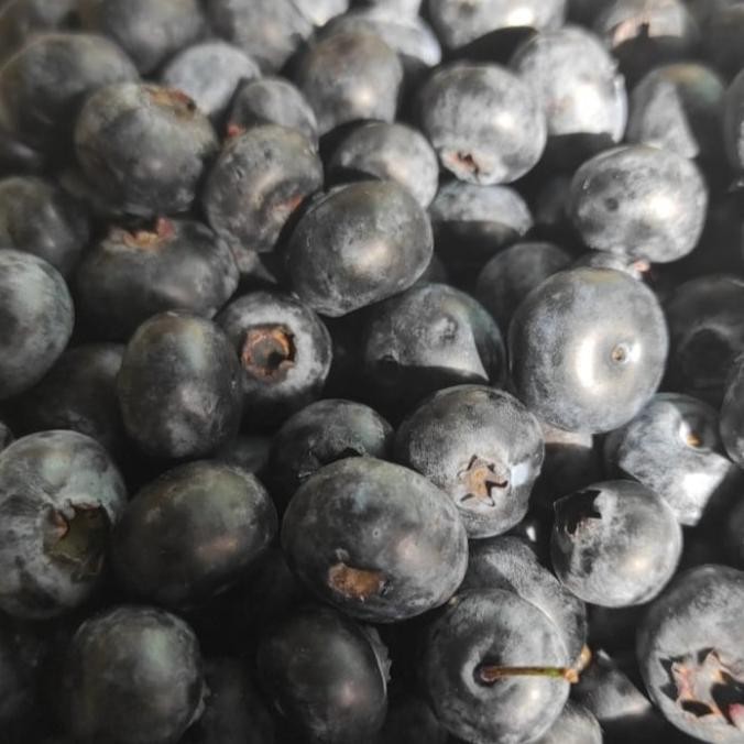 

blueberry frozen nUg