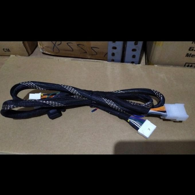 Kabel Socket Sound Processor LM Audio