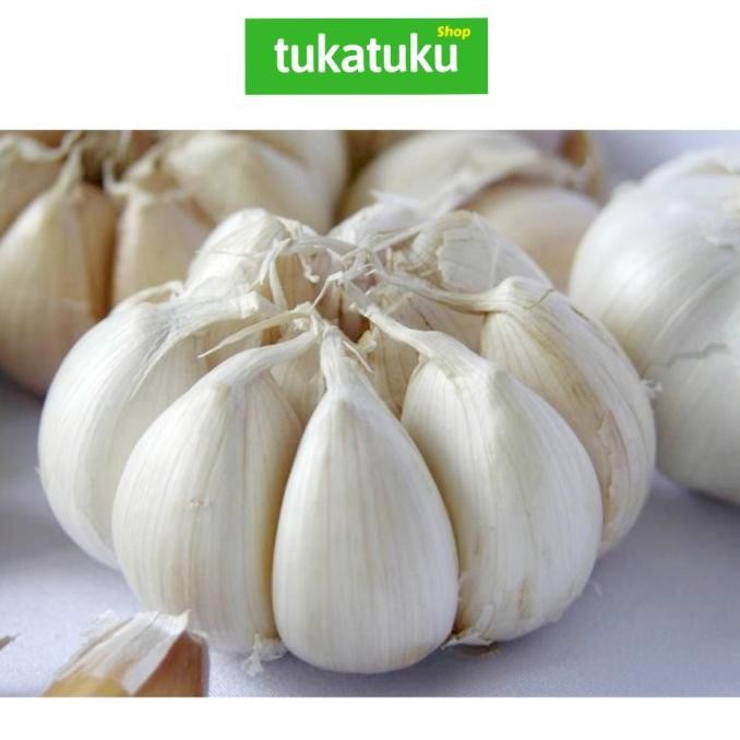 

BAWANG PUTIH (250 GRAM) nUg