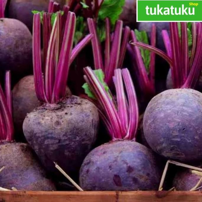 

BUAH BIT / BEET ROOTS (500 GRAM) nUg