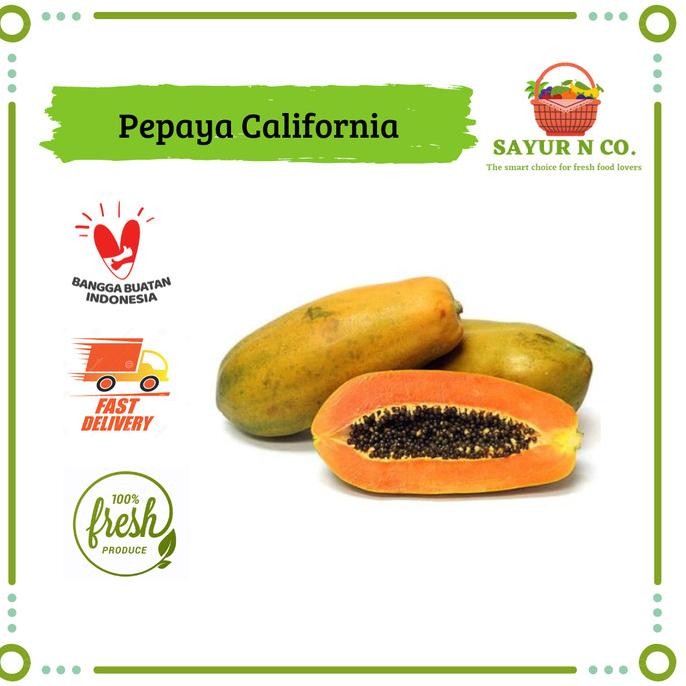 

Pepaya California | Sayur N Co Bekasi nUg