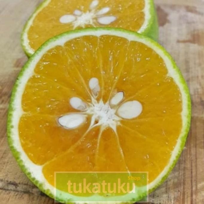 

JERUK BABY MALANG JAVA MANIS SEGAR SEHAT / JERUK PERAS (1 KG) nUg