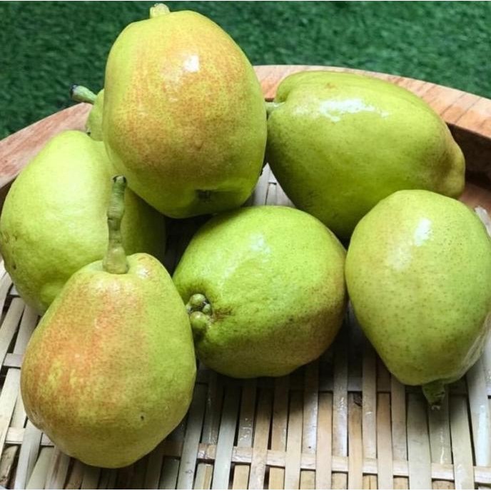

Buah Pear Xianglie | Pir Sianglie | Fragrant Pear nUg
