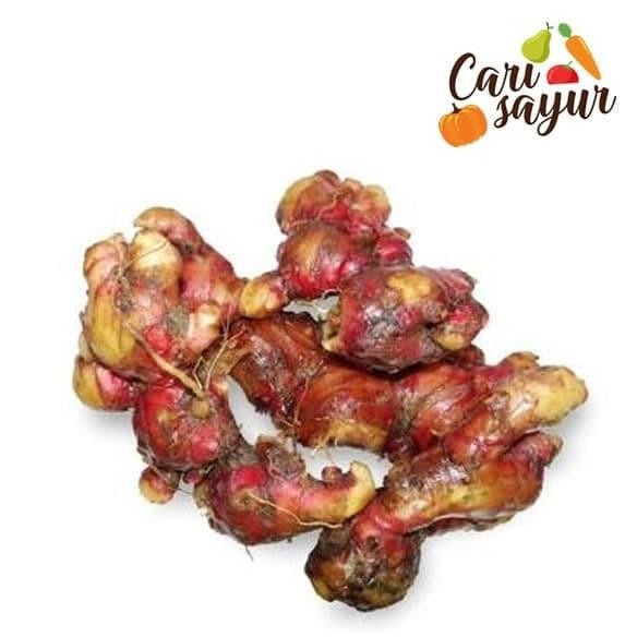 

CARI SAYUR - Jahe Merah [250 gram] nUg