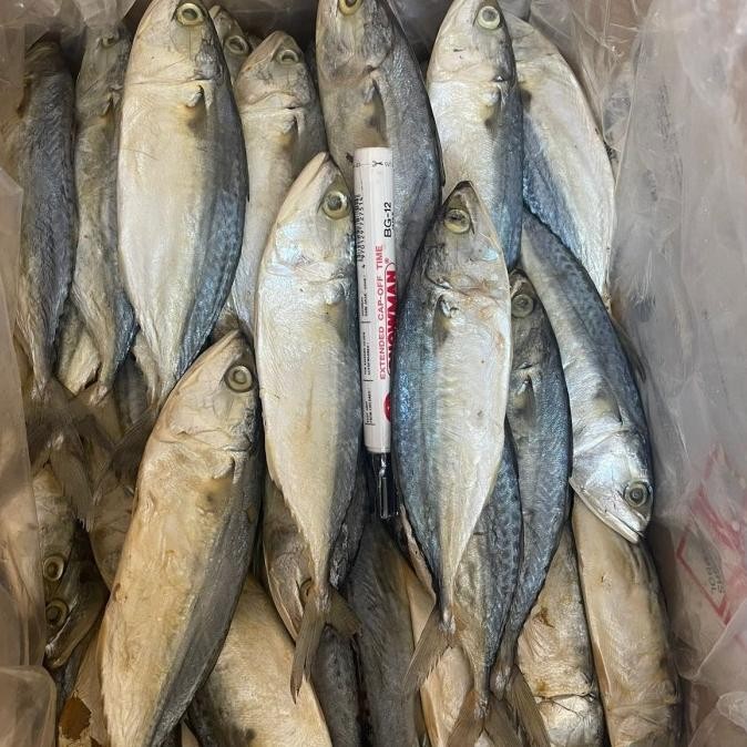 

ikan asin Peda Putih jumbo 500gram nUg
