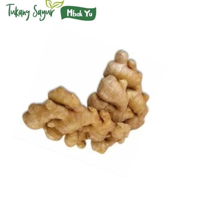 

jahe segar 250gr nUg