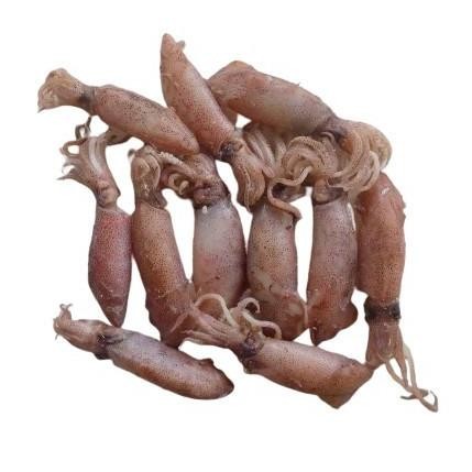 

Murah Cumi Asin | Sayur N Co Bekasi