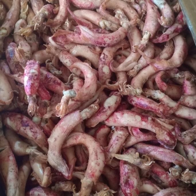 

Grosir Cumi Telor Kering Per 1Kg