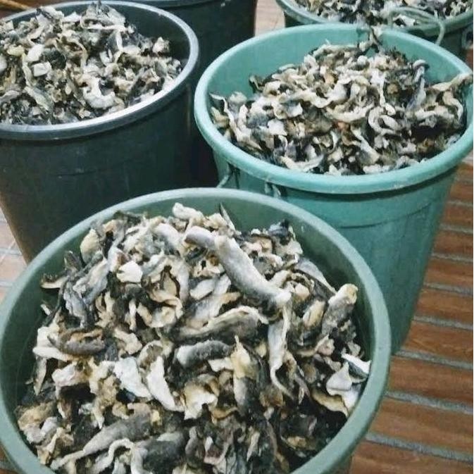 

Grosir Kerupuk Kulit Ikan Patin 1/2 Mtg Kemasan 1 Kg Food
