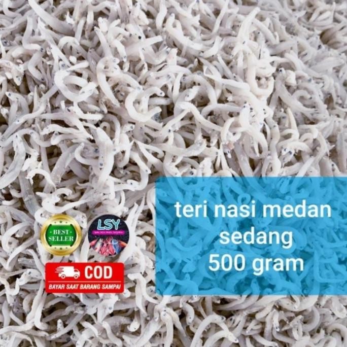 

Grosir Ikan Asin Teri Nasi Medan Size Sedang 500Gram