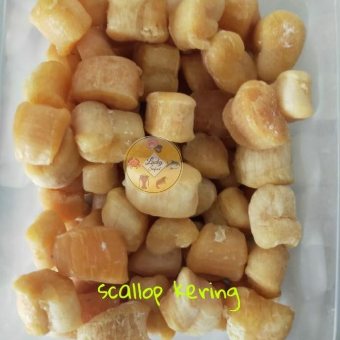 

Grosir Scallop Kering 100 Gram