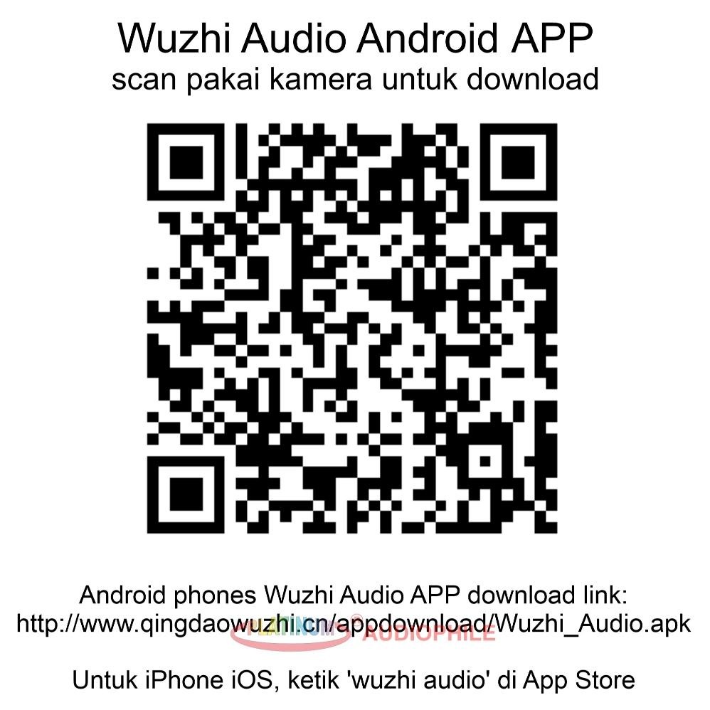 JH8 TPA3116 Amplifier Class D 100W TWS Bluetooth 5.1 Hifi Class D Amplifier TPA3116D2 Original ZK-10