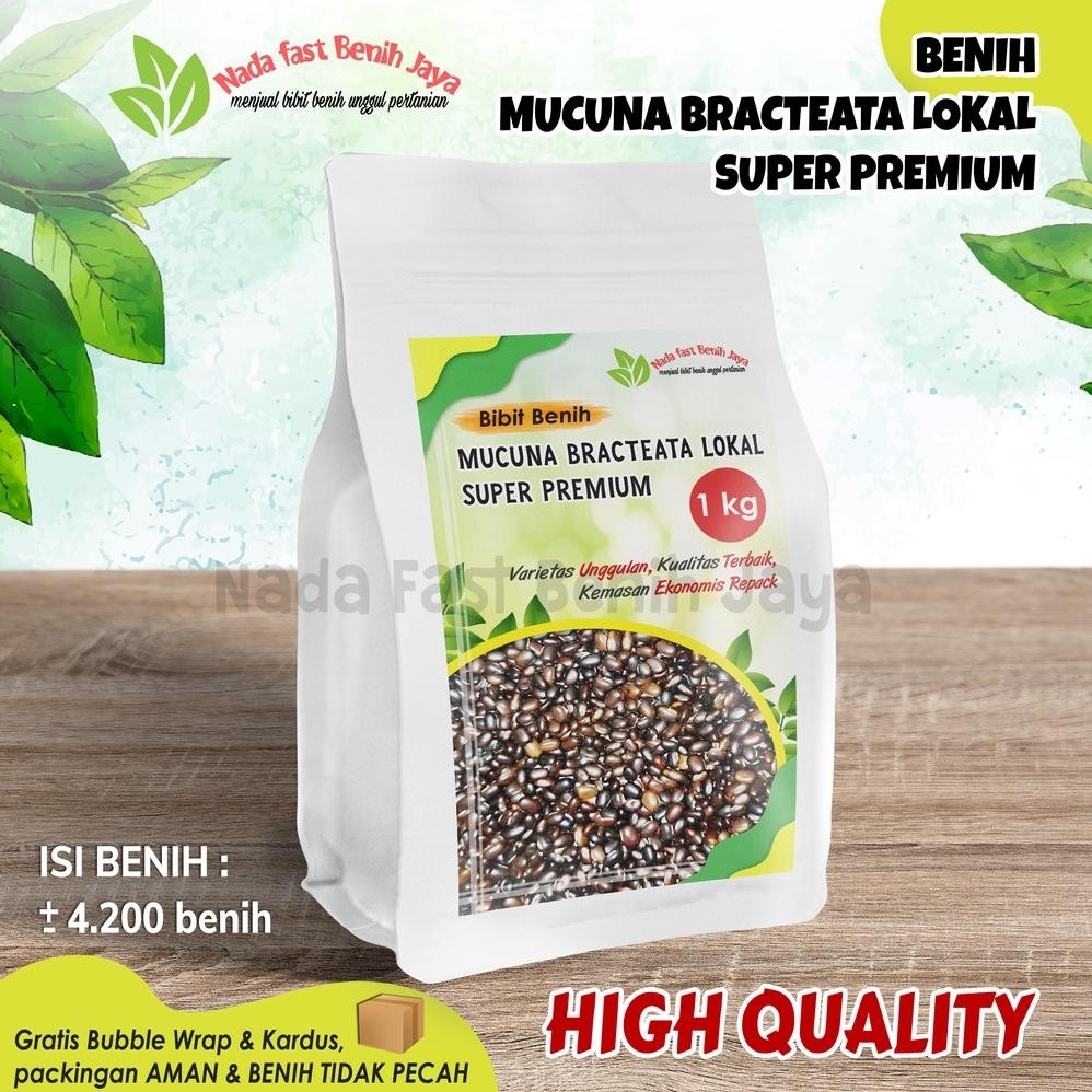 Benih Mucuna 1 kg super lokal bibit mucuna bracteata / benih kacang kacangan cover crop
