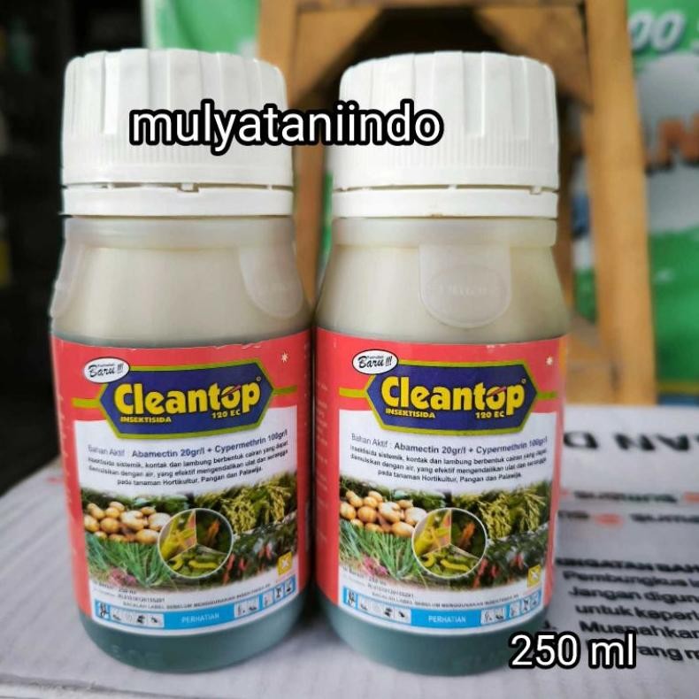 Cleantop Insektisida Clean Top 250 ml