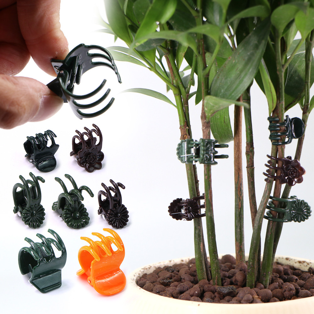 

30/50/100 Pcs 5/6 klip tanaman plastik cakar, penjepit pendukung bunga anggrek, penutupan batang ang