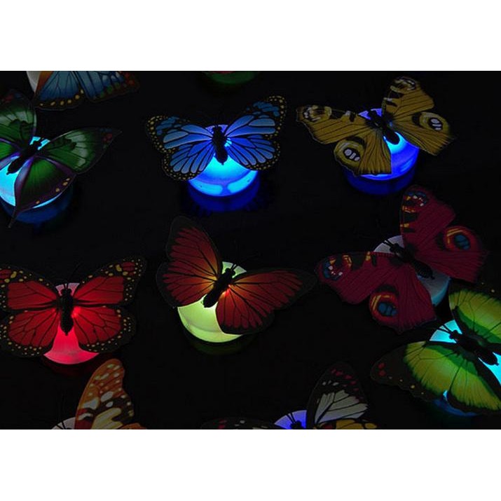 Gratis Ongkir - Lampu Kupu - Kupu /  Stiker 3D Motif Kupu - Kupu / 3D Wall Stiker LED / Lampu LED