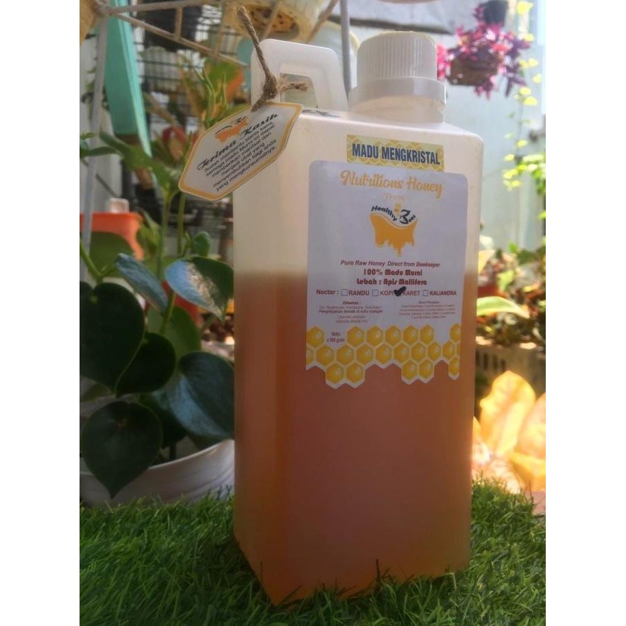 

Madu Murni Karet Full Nectar -+1000Gram Terlaris