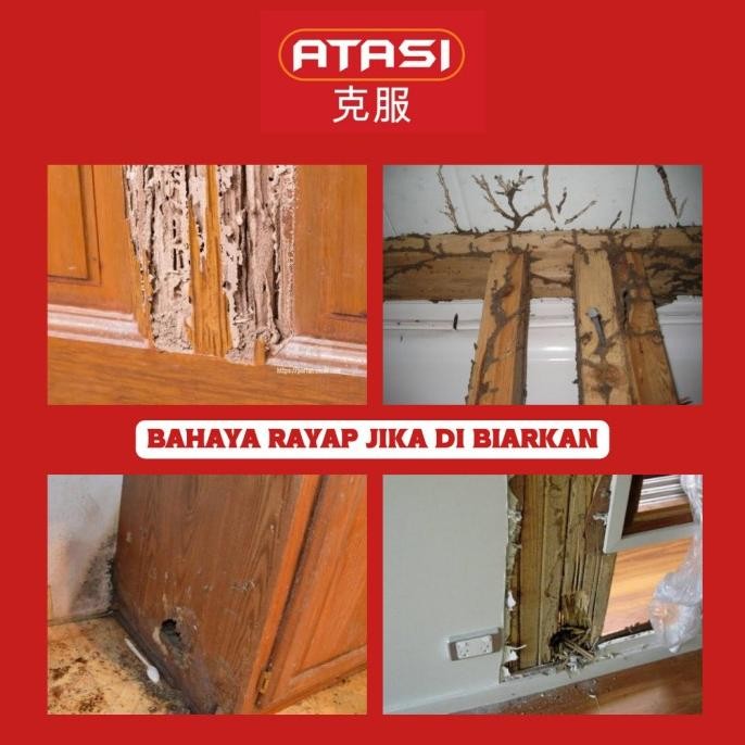 new  ANTI RAYAP BUBUK ATASI OBAT RAYAP KAYU PEMBASMI RAYAP TERMITE POWDER