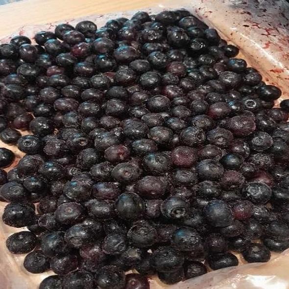 

Murah Frozen Blueberry 1Kg Import Buah Bluberi Beku