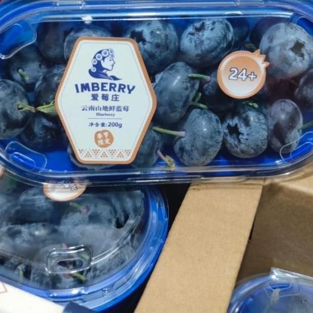 

Grosir Buah Blueberry Super Jumbo 200 Grm