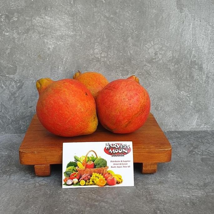 

Murah Harvestmoon Delima Pomegranate Per Dus