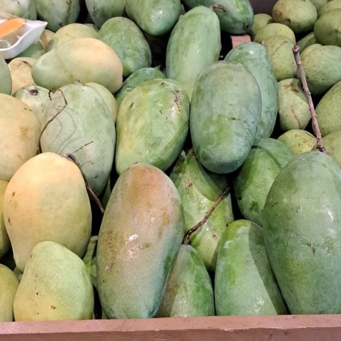 

Sale Mangga Kiojay Thailand Segar 1 Kg