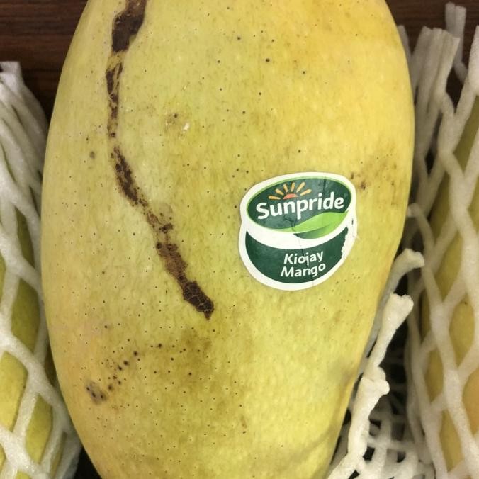 

Sale Buah Mangga Kiojay Thailand Super 1 Kg