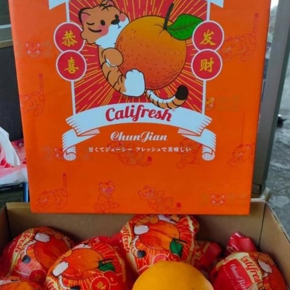 

Grosir Buah Jeruk Dekopon Fresh Manis Per 1 Dus Isi 16 Buah Berat -+ 4 Kg