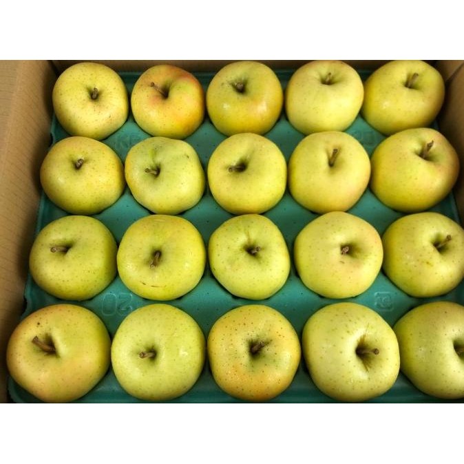 

Sale Apel Toki Essence Jepang 1 Dus (10 Kg) Fresh Import