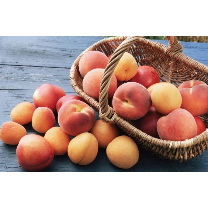 

Grosir Slice Yellow Peach Frozen/Peach Beku