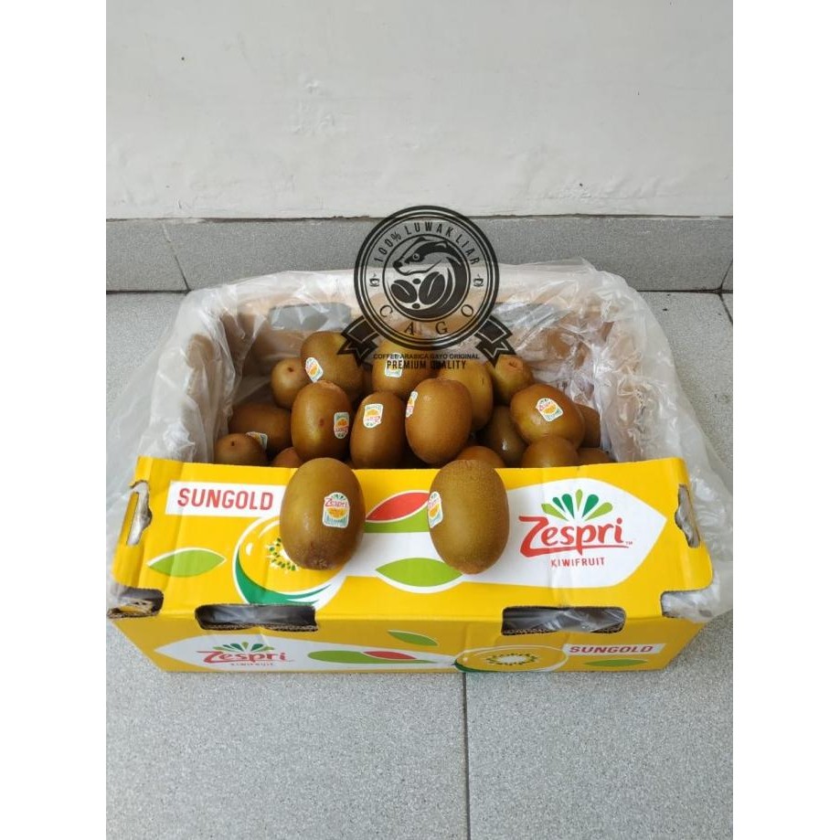 

Grosir Kiwi Gold Zespri New Zealand Size 27 1Dus (5.6Kg) Fresh Import