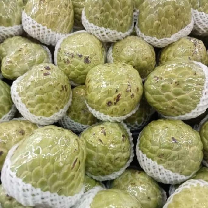 

Promo Srikaya Jumbo Bibit Australia 1 Kg