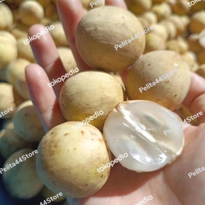 

Sale Duku Palembang Super Manis Dan Segar