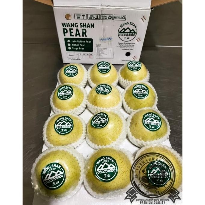 

Murah Buah Pear Pir Golden Wangshan Jumbo 1 Dus ( 9 Kg ) Fresh Import
