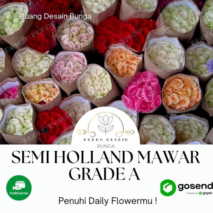 TERBARU MAWAR 20 TANGKAI BUNGA SEGAR GRADE A | SEMI HOLLAND | BANDUNG