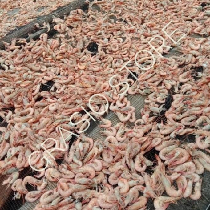 

Grosir Ebi Udang Kering Merah (1Kg) Grade A Tanpa Kulit