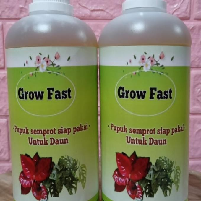 pupuk daun cair tanaman hias, aglonema, semua jenis tanaman, grow fast