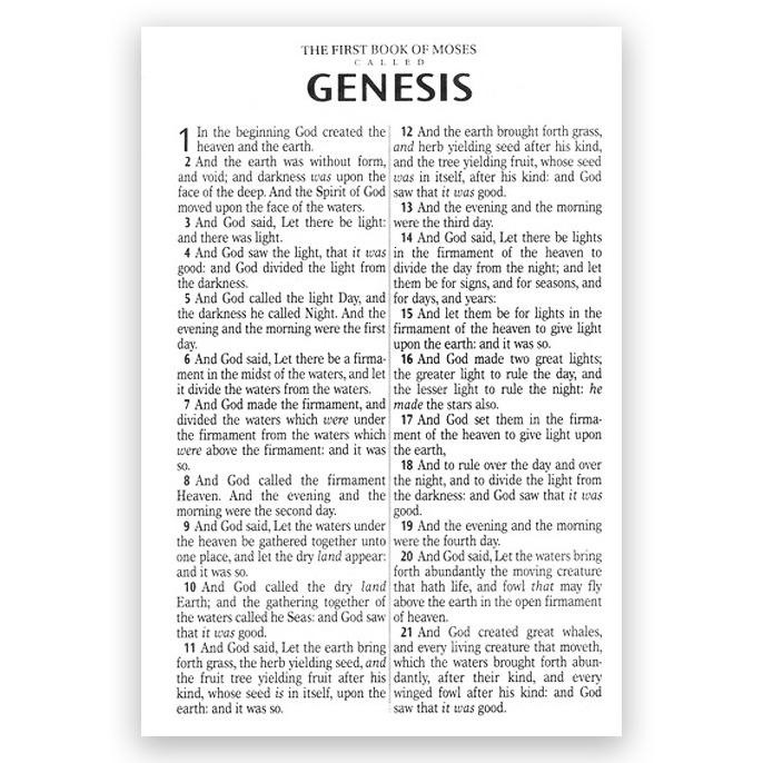 KJV Large Print Thinline Bible FauxLeather murah