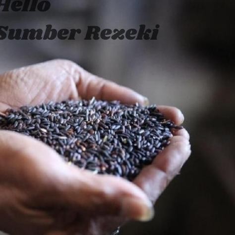 

Baru Beras Ketan Hitam PK (Pecah Kulit) 1 Kg
