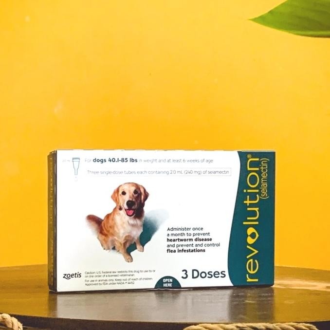 TERMURAH - Revolution teal dog 40kg