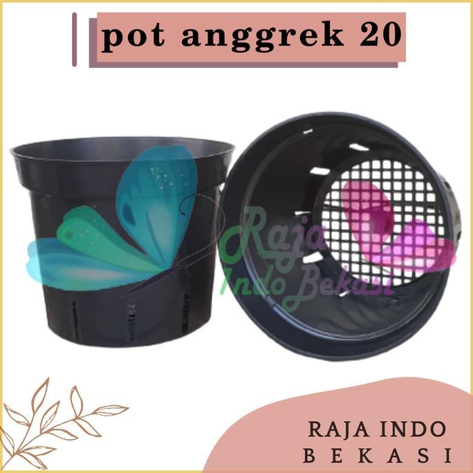 Pot Plastik Anggrek 20cm Pot Bunga Anggrek Orchid 20 cm Grosir Murah