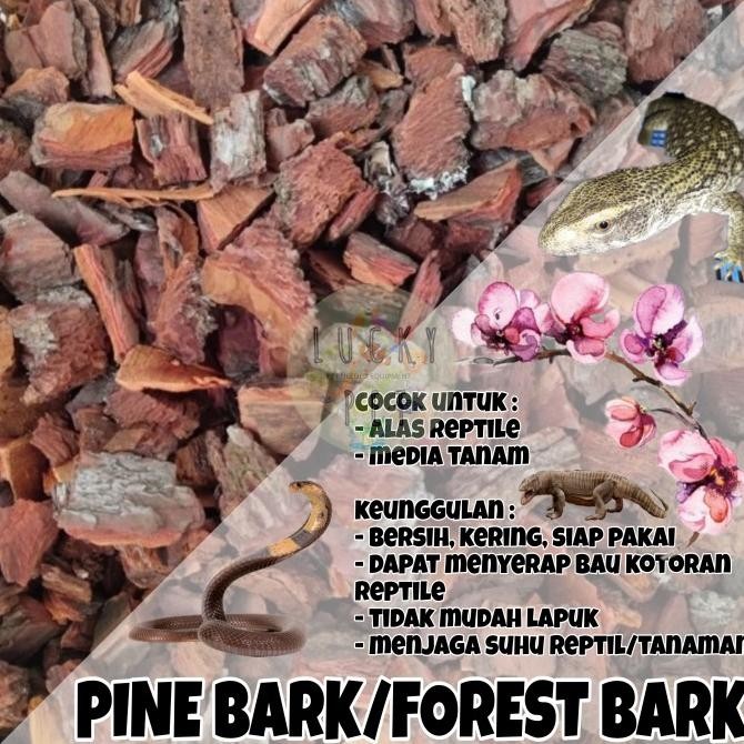 Forest bark pine bark kulit kayu pinus cemara media tanam anggrek murah