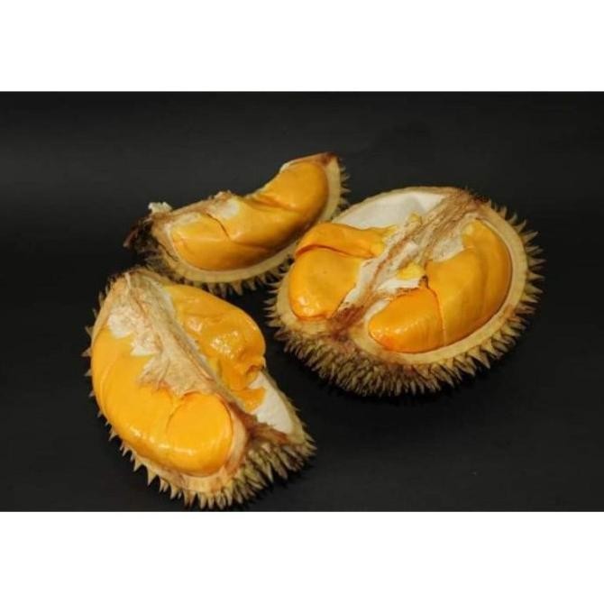 Obral BIBIT TANAMAN BUAH LAI NNNN PREMIUM