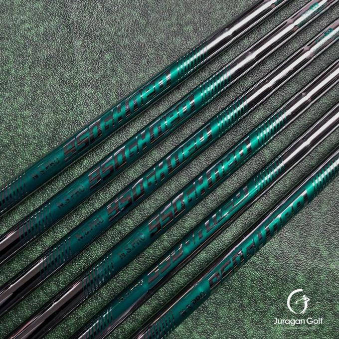 TERLARIS - NSPRO 950 R Iron Shaft